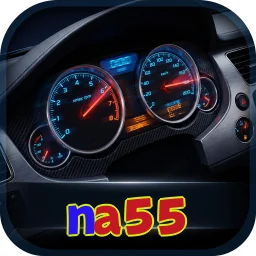 na55